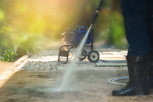 Best Fleet Vehicle Washing  in Black Diamond, WA